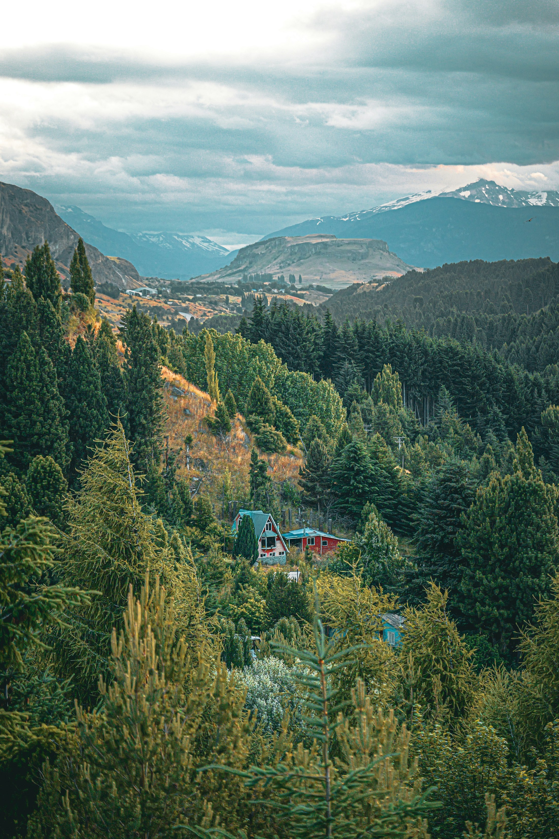 Paisaje de montaña y bosque del sur de Chile