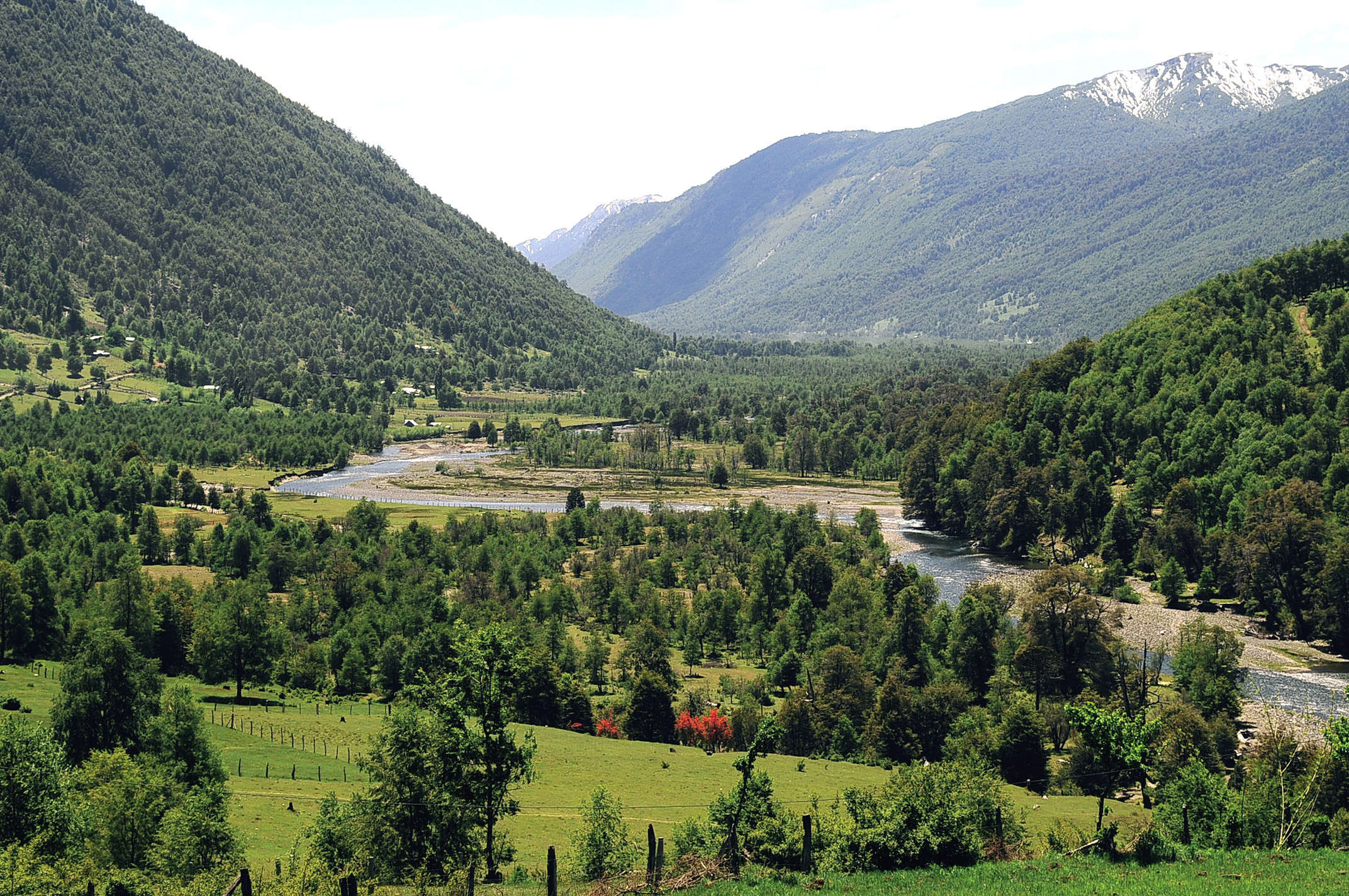 Valle de Curarrehue