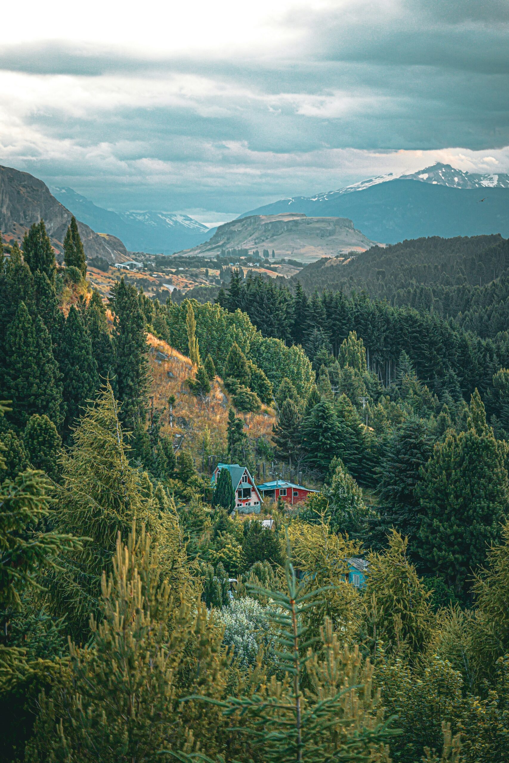 Paisaje de montaña y bosque del sur de Chile
